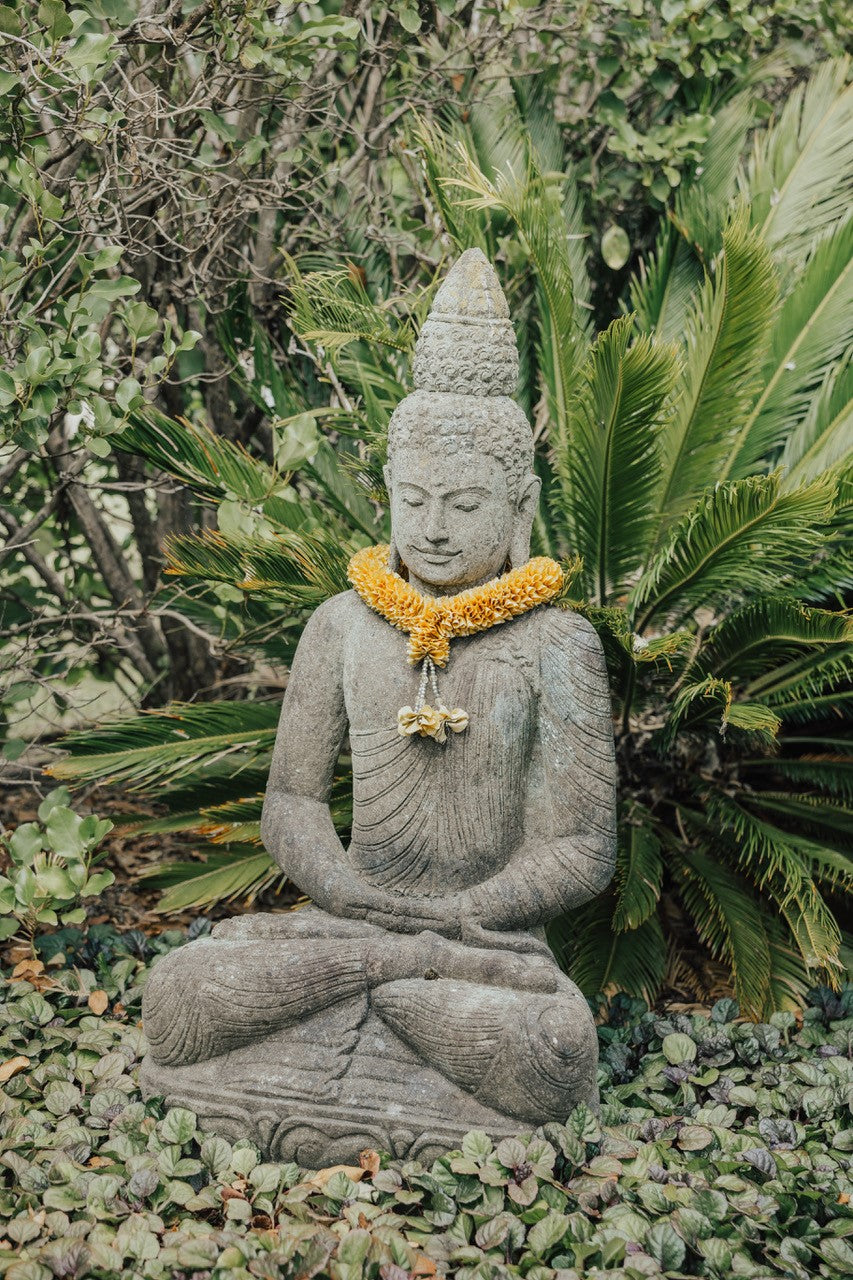 Escape, Heal, Restore: An Ayurvedic Day Retreat for Winter Wellness