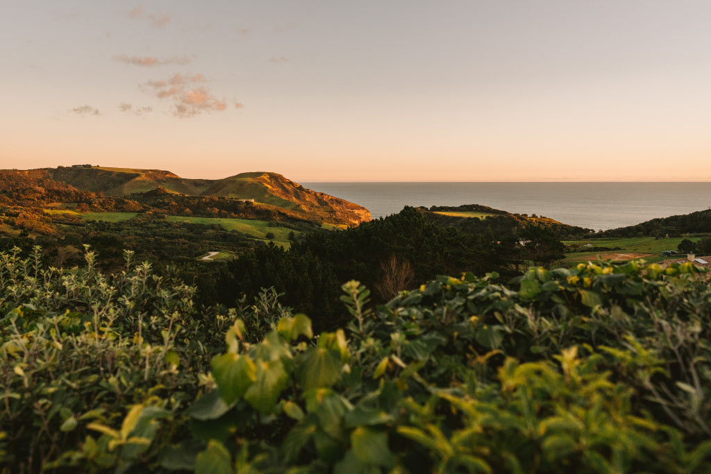 Spring Reset: An Ayurvedic Day Retreat to Cleanse, Release & Renew