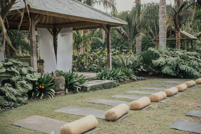 Ayurveda Day Retreat at Bali Garden, Matakana - 3rd May 2026
