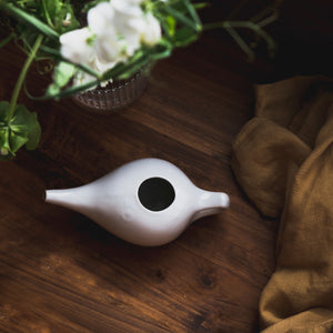 Neti Pot